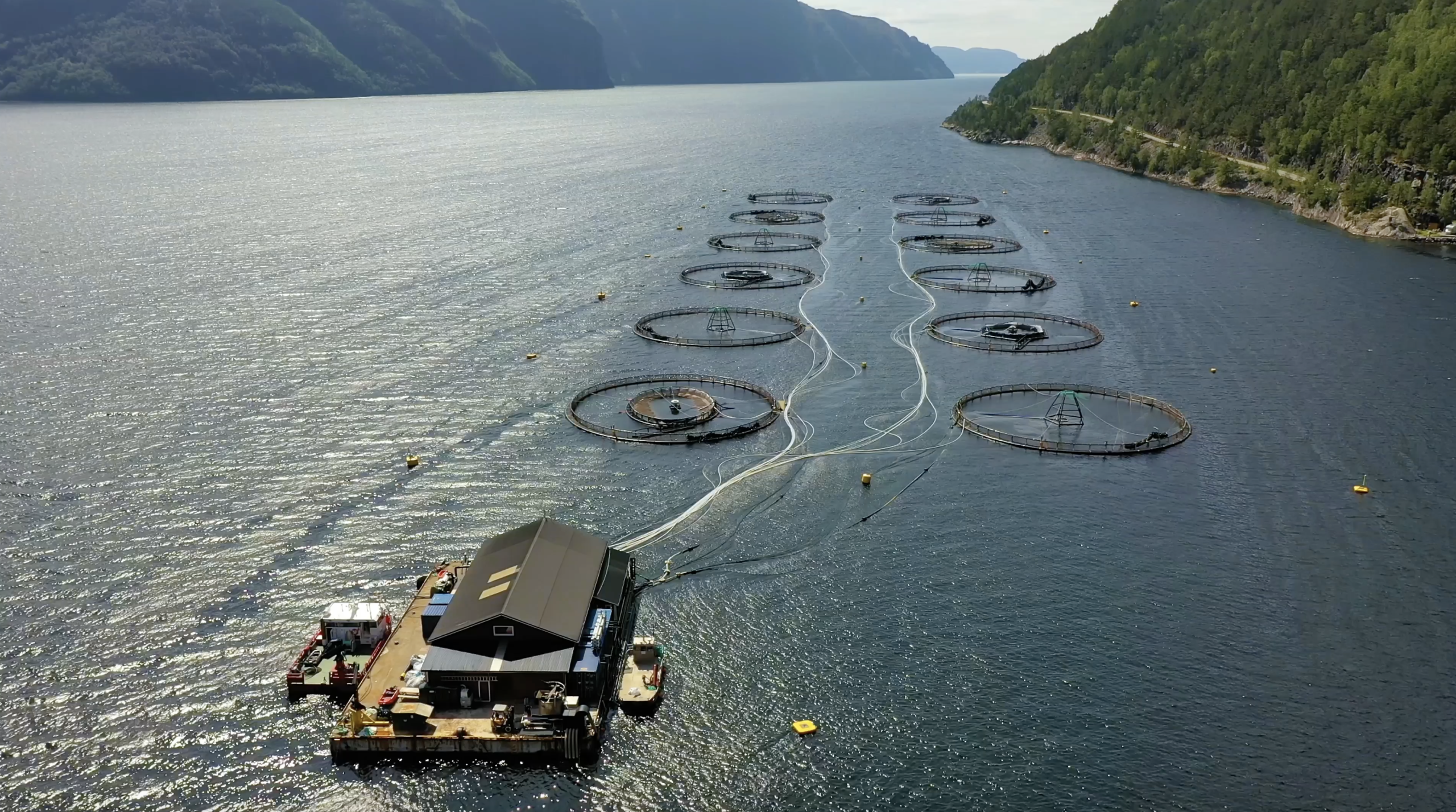 Captura de pantalla 2025-05-22 a las 17.51.07