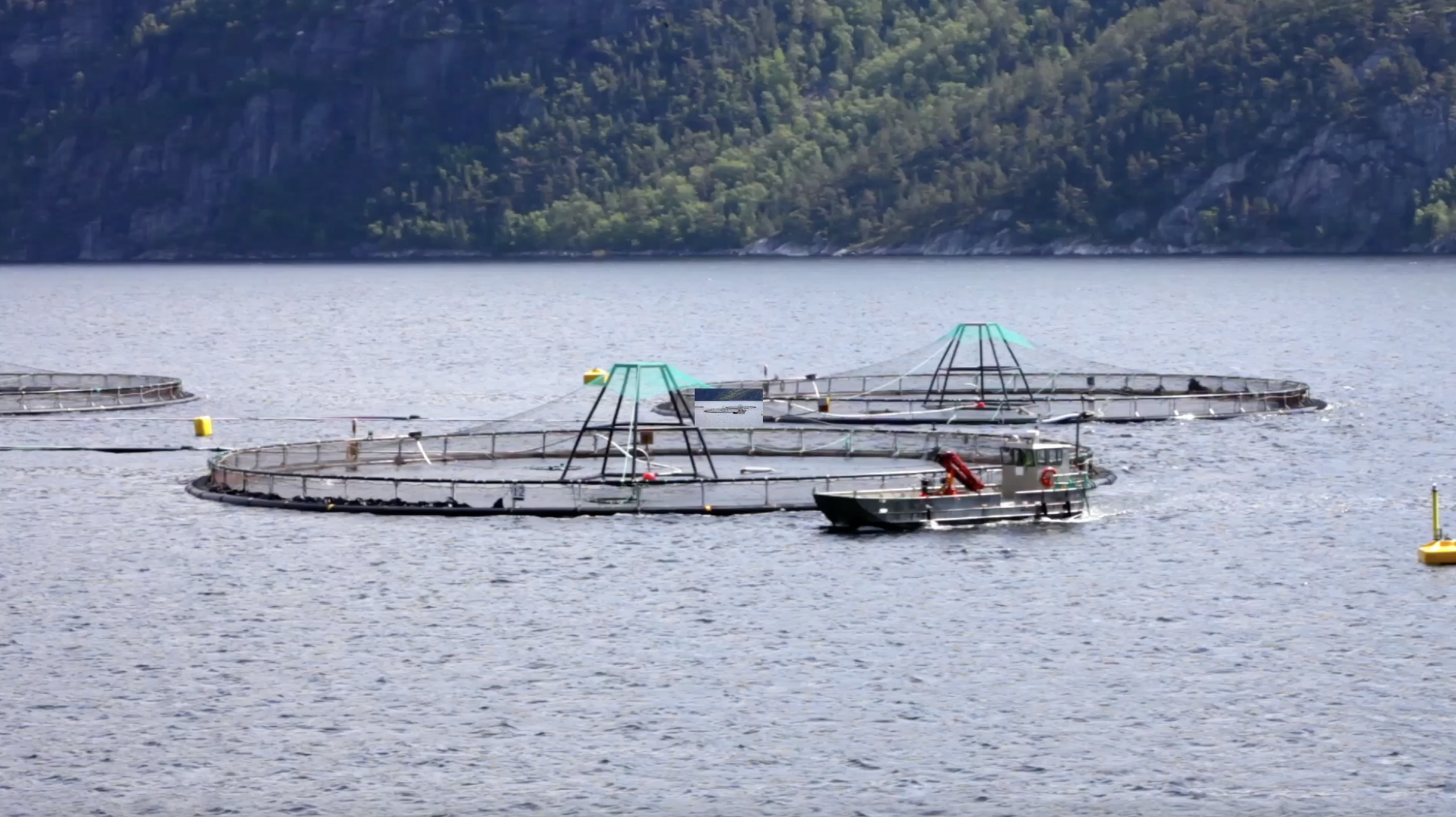 Captura de pantalla 2025-05-22 a las 17.51.26